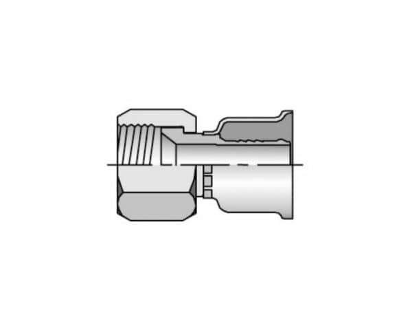 JIC 37º - Imagen 4