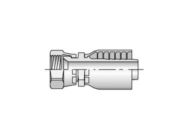 JIC 37º - Imagen 5