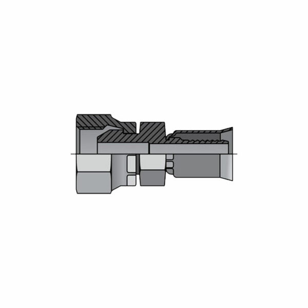 BSP - Imagen 3