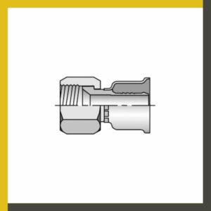 JIC 37º