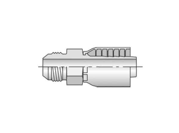 JIC 37º - Imagen 4