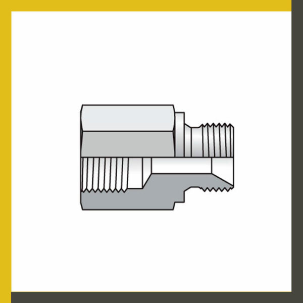 Adaptador recto BSPP hembra a BSP 60º